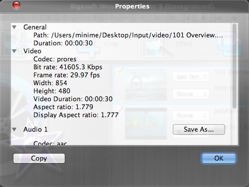 Bigasoft iMovie Converter 5.0 : Checking Input File Information