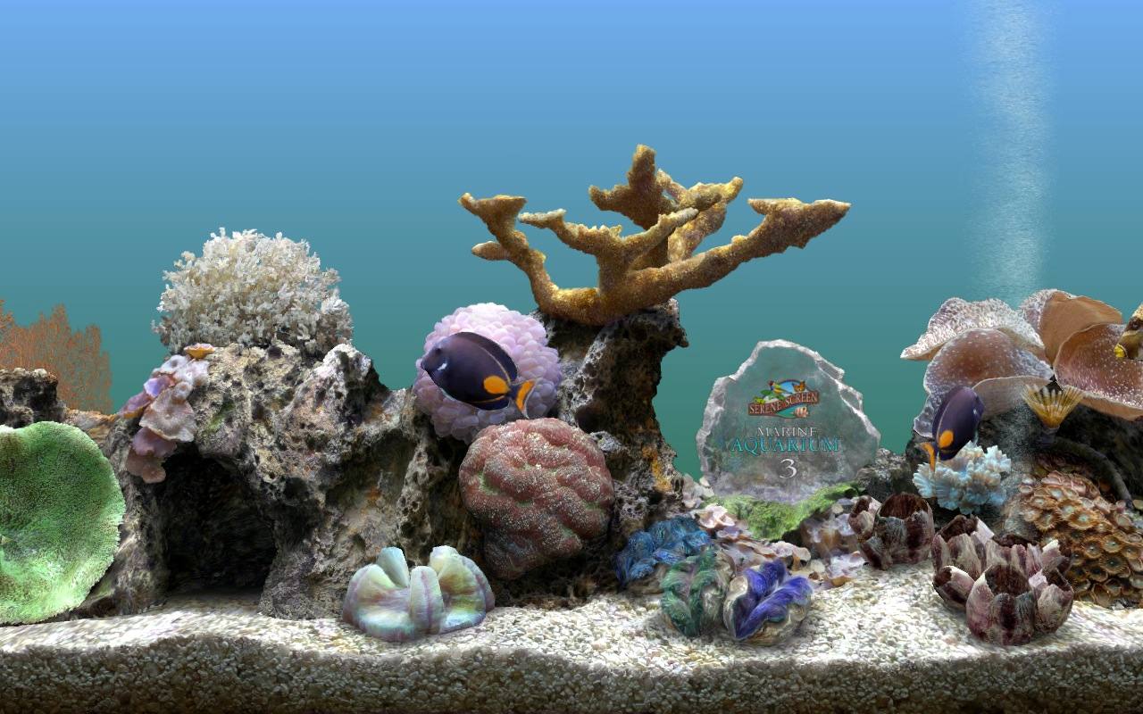 Marine Aquarium : General view
