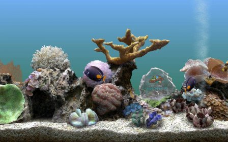 aquarium screensaver for windows 7