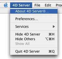 4D Server 12.1 : Program menu