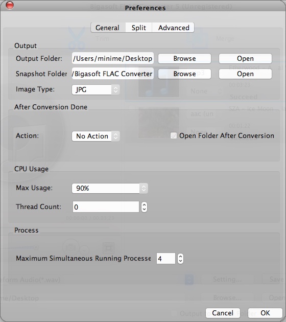 Bigasoft FLAC Converter 5.0 : Preferences Window