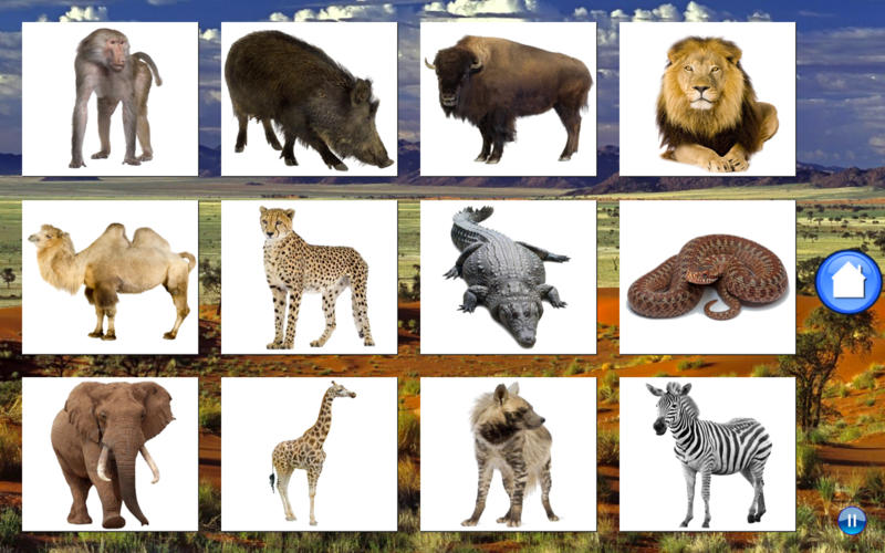 African-Animals 1.0 : Main Window