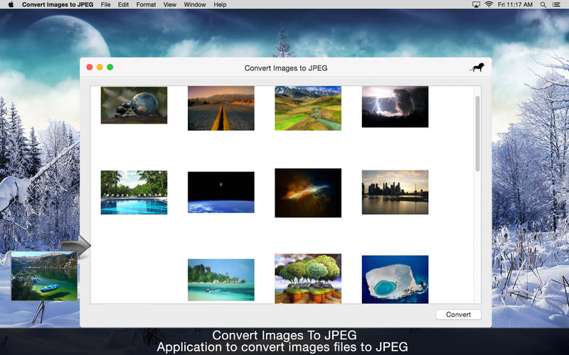 Convert Images to JPEG 2.2 : Main Window