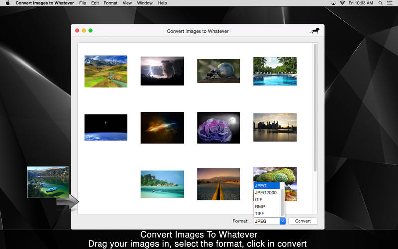 Convert Images to Whatever 2.3 : Main Window