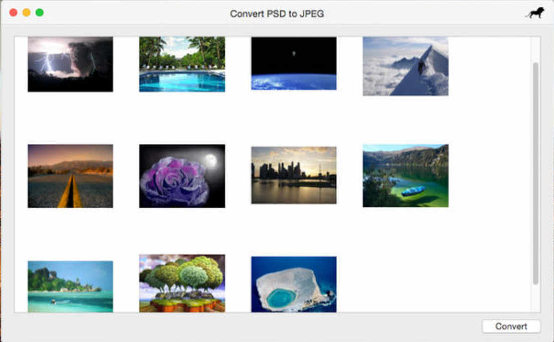 Convert PSD to JPEG 2.1 : Main Window