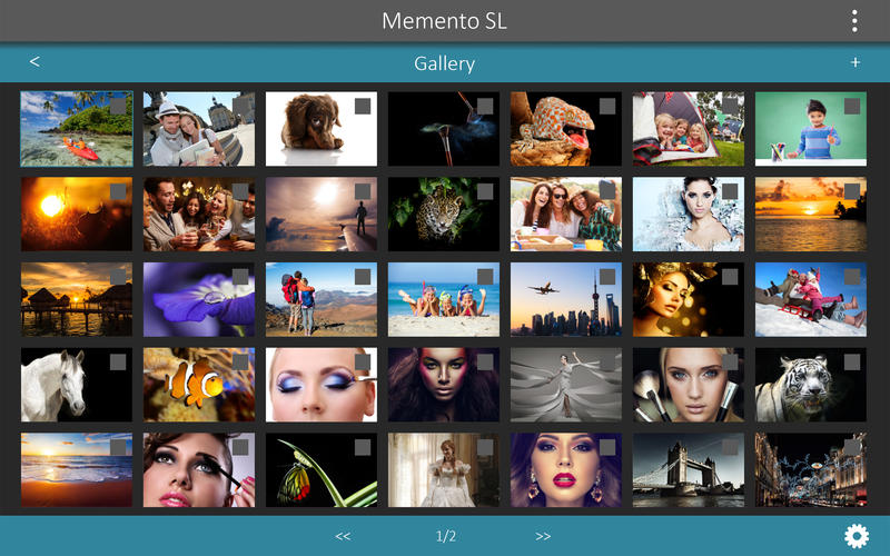 Memento Smart Frame 1.2 : Main Window