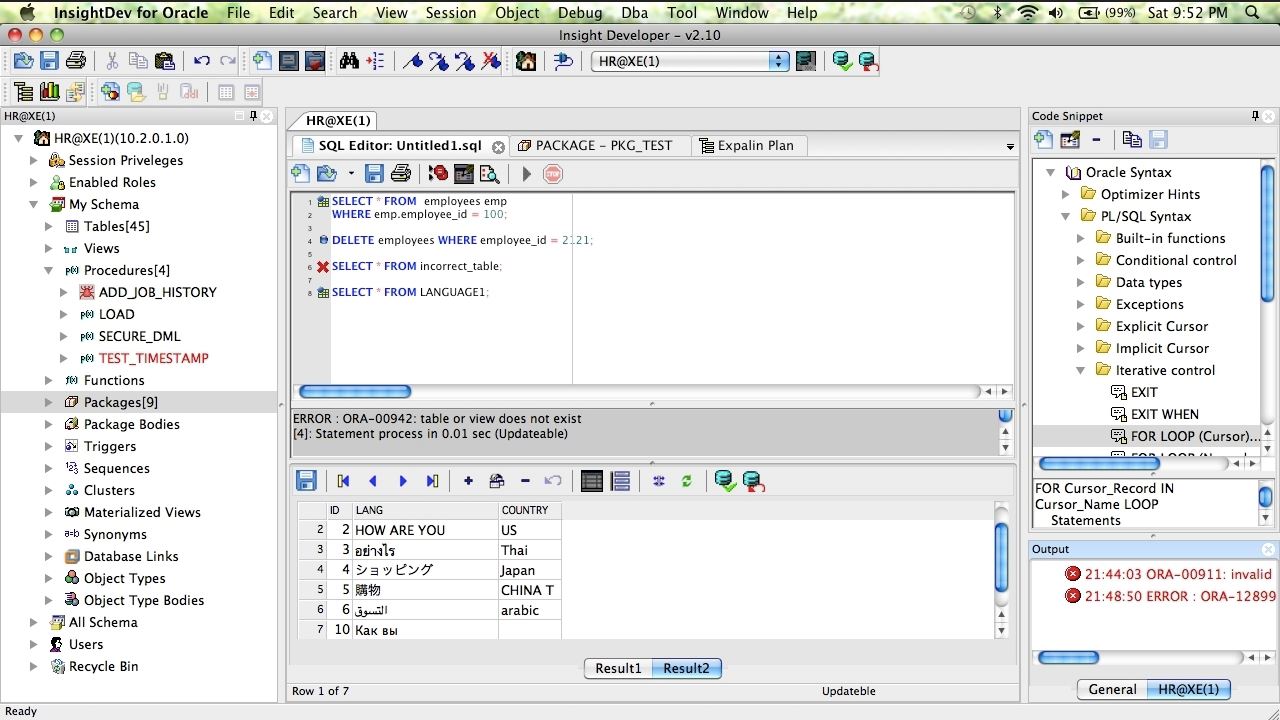 InsightDev for Oracle 3.1 : Main Window