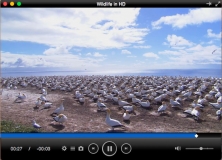 cisdem video player for mac crack