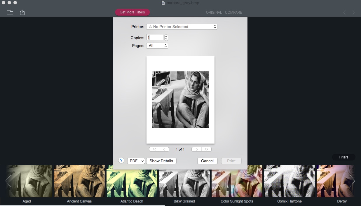 Filters for Photos 1.0 : Printing Image