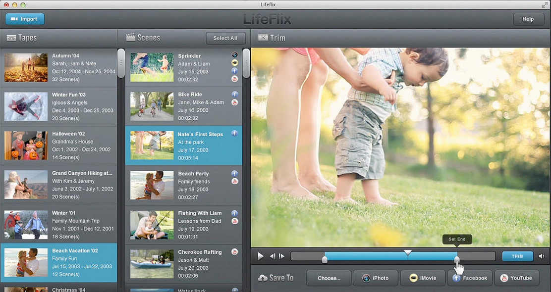 LifeFlix MiniDV Importer Free 1.5 : Main Window