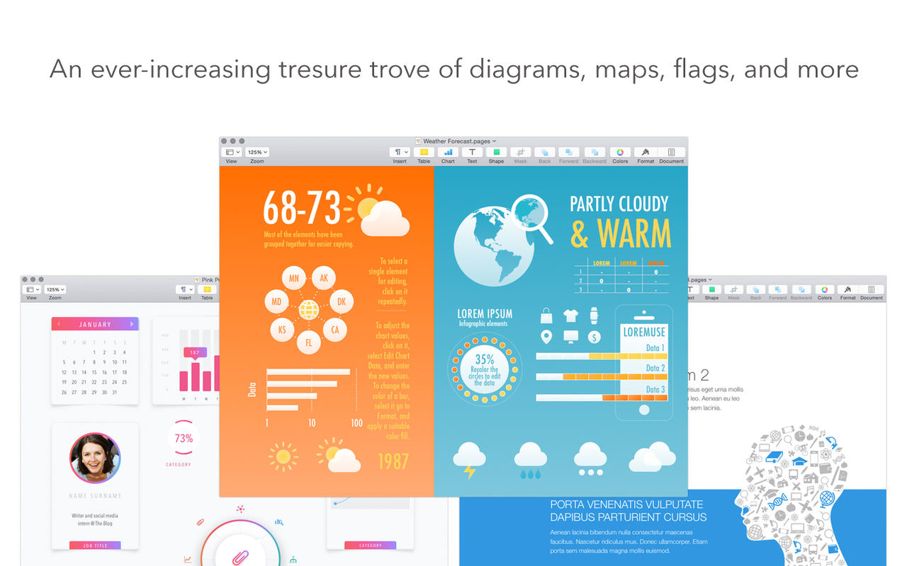 Infographics for Pages 3.0 : Main Window