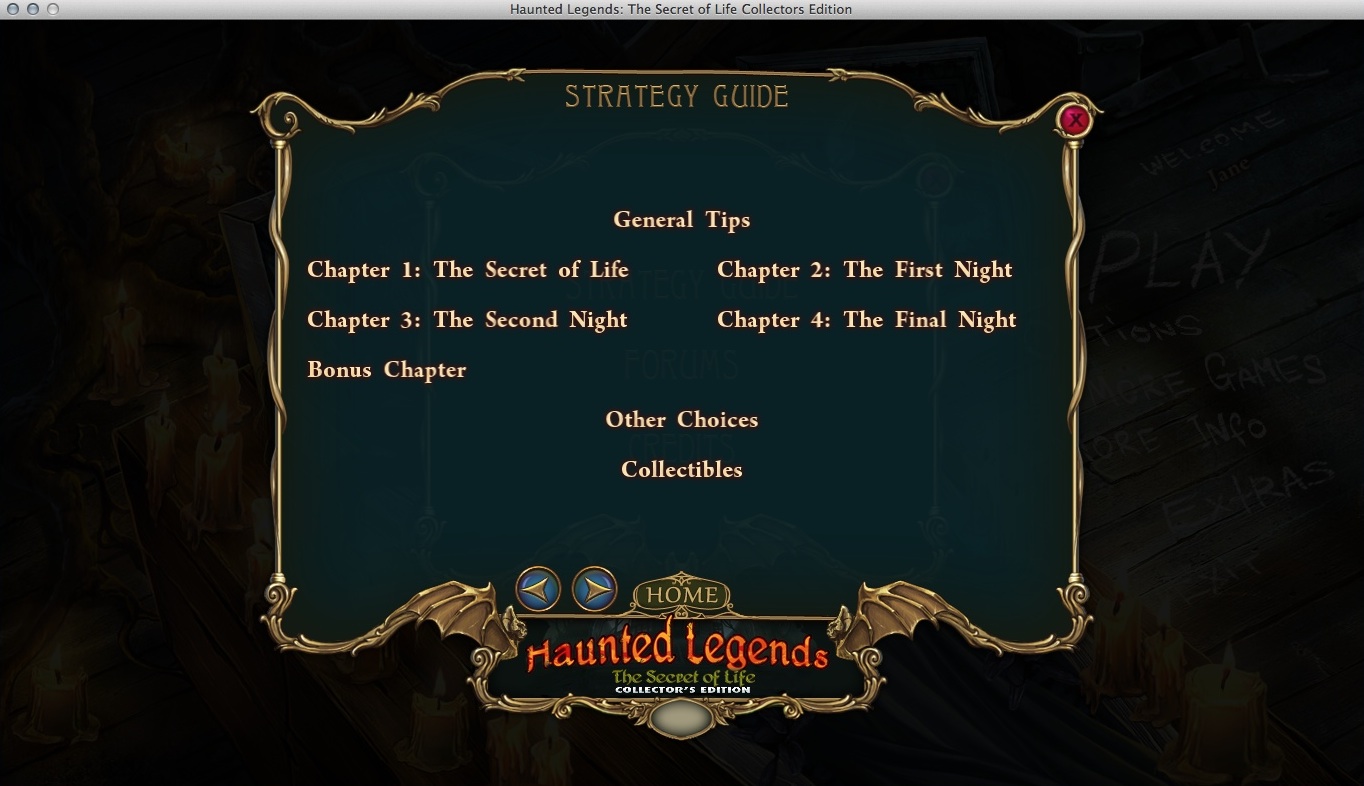Haunted Legends: The Secret of Life Collector's Edition 2.0 : Strategy Guide