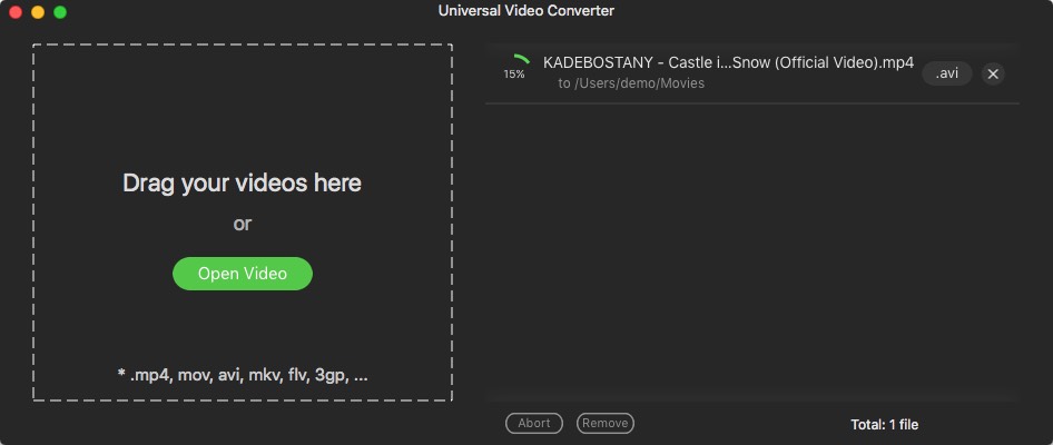 Universal Video Converter : Conversion Window