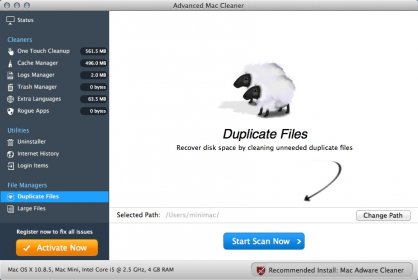 Duplicate Files Window