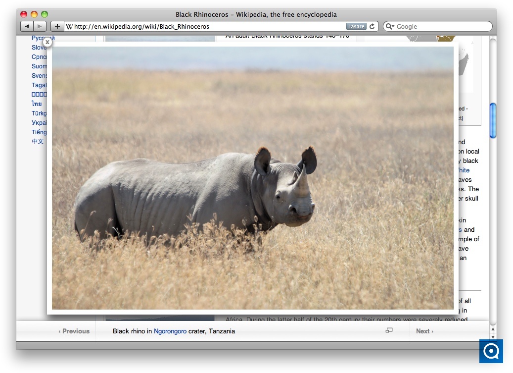 WikiPics Safari Extension 2.0 : Main window