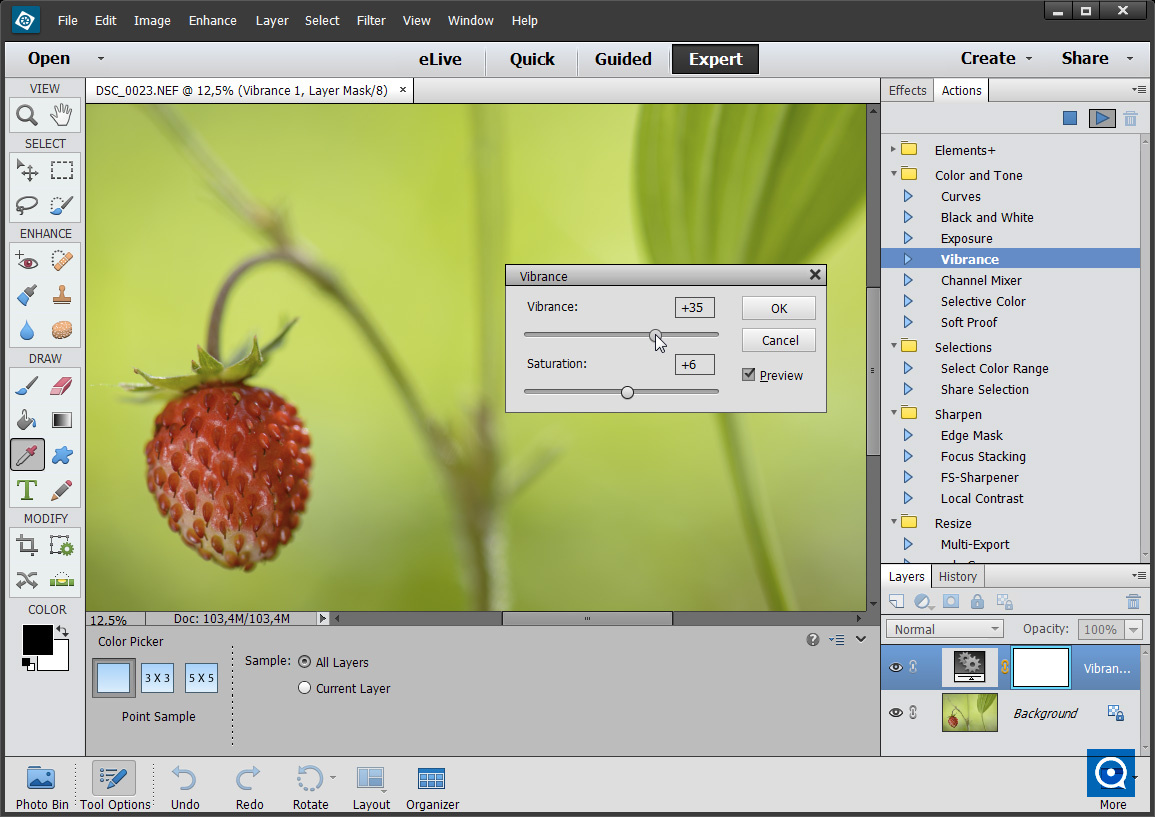 Elements+ for PSE 8 1.0 : Main window
