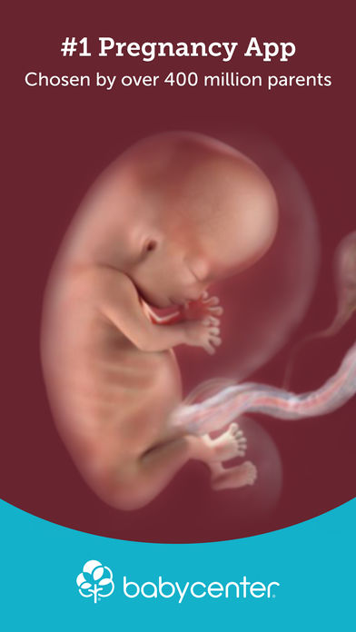 BabyCenter: My Pregnancy Today 3.1 : Main Window