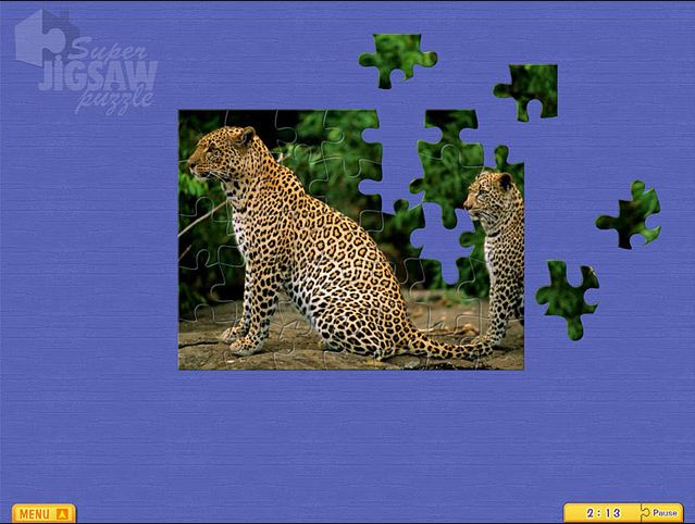 Jigsaw Safari 1.3 : General view