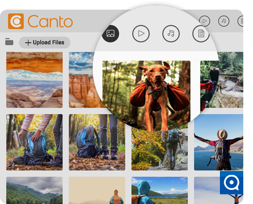 Canto Cumulus 8.6 : Picture of the Canto backend and the image library