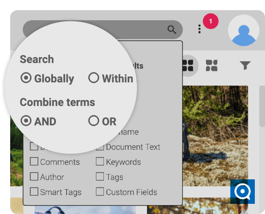 Canto Cumulus 8.6 : Mockup of the search functionality within Canto