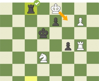 Solve Chess Puzzles