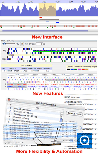 Oligo 7.6 : new interface