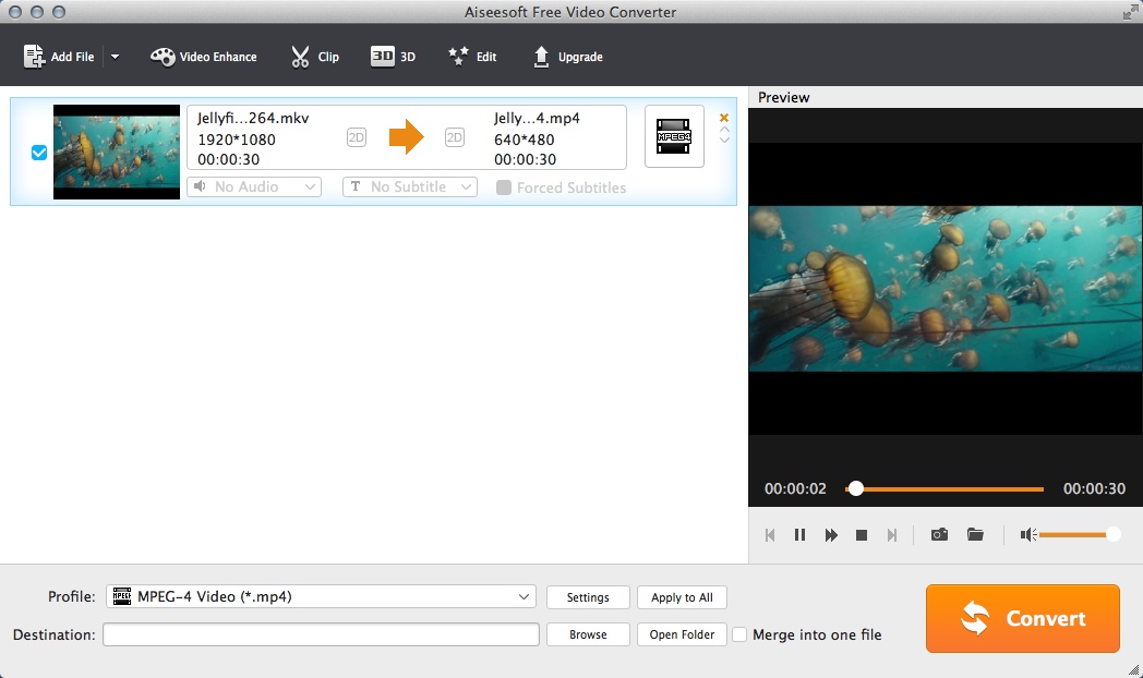 Aiseesoft Free Video Converter 6.5 : Preview Input Video