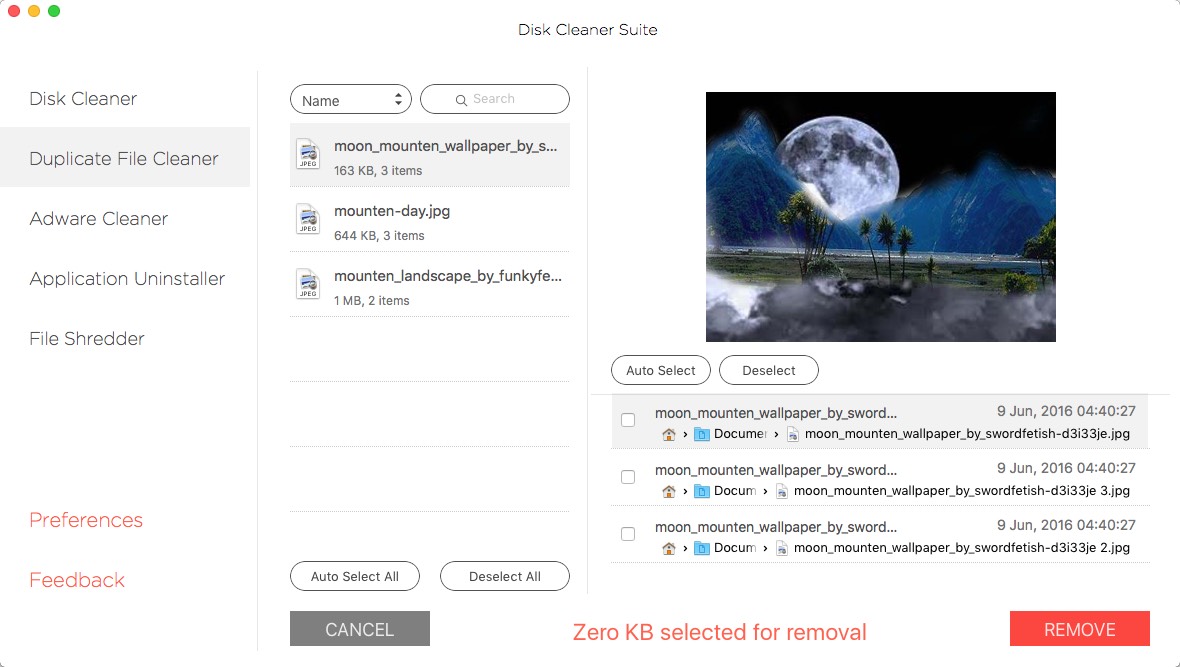 Disk Cleaner Suite 2.2 : Duplicate File Cleaner