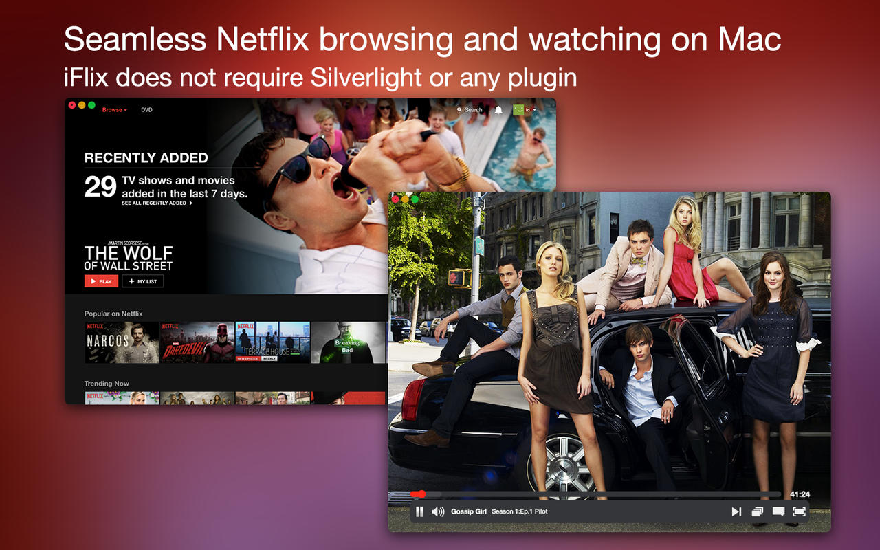 Flix Streaming for Netflix 1.6 : Main Window