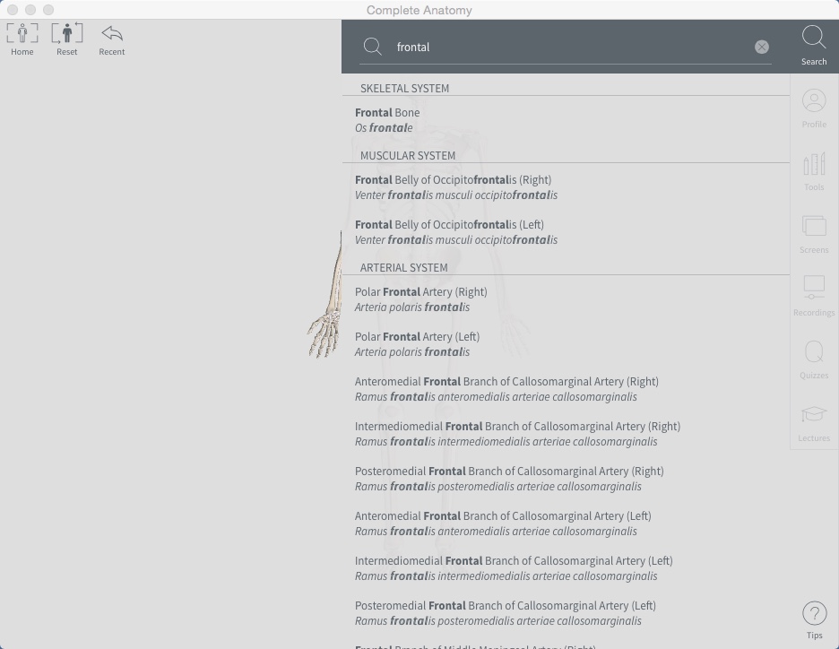 Complete Anatomy 2.2 : Using Search Tool