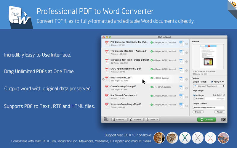 PDF to Word Pro by Flyingbee 1.1 : Main Window