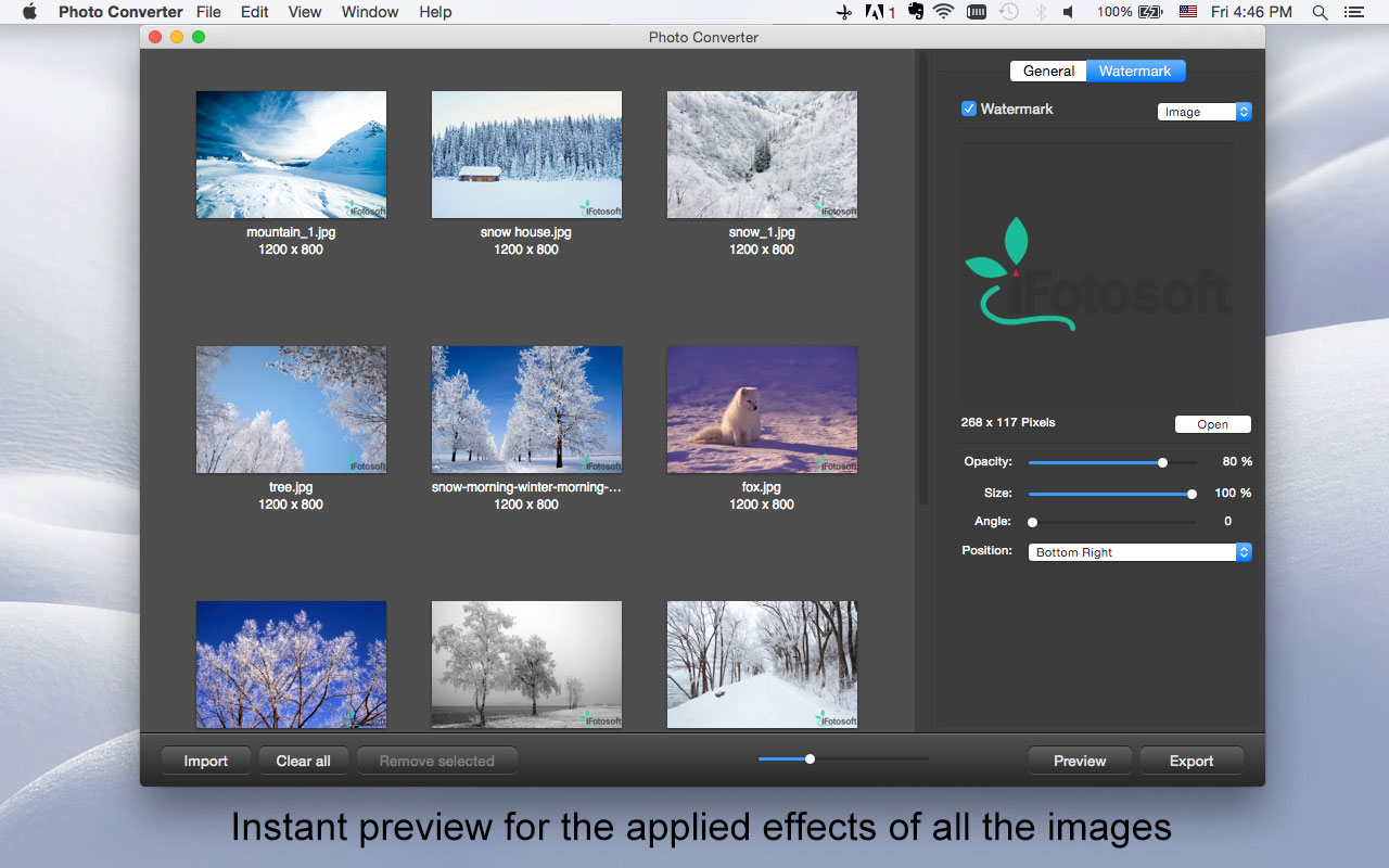 iFotosoft Photo Converter for Mac 2.0 : Main Window