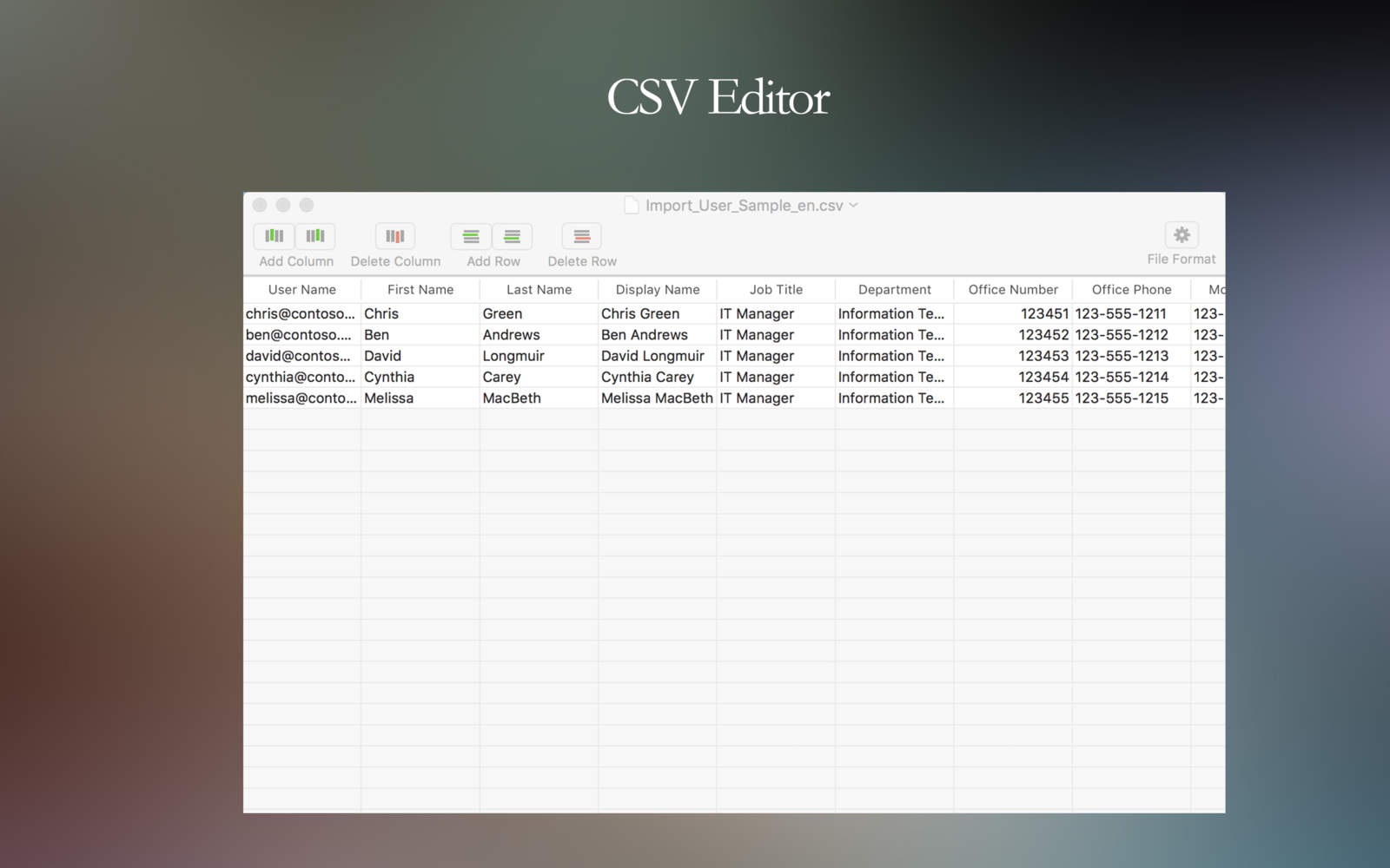 CSV Editor 1.0 : Main Window
