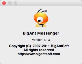 BigAnt 1.1 : About Window