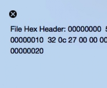 Checking Hex Header Information