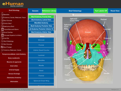 Head and Neck Anatomy 2 2.1 : Main window