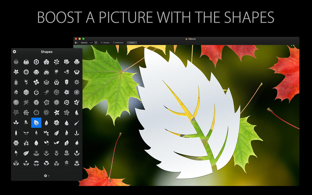 Shapes for Pixelmator 1.0 : Main Window
