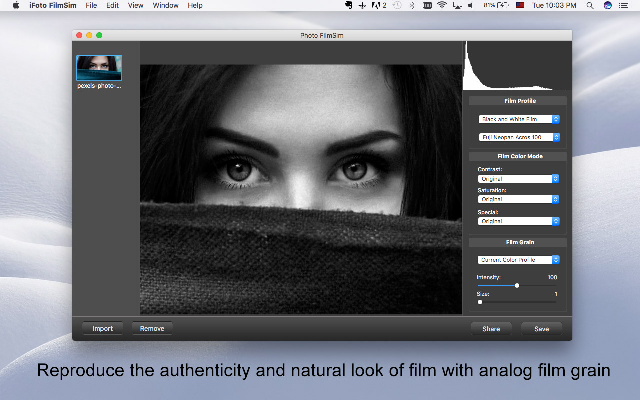 iFotosoft Photo FilmSim for Mac 2.0 : Main Window