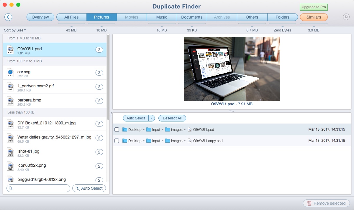 Duplicate File Finder 4.2 : Preview Found Duplicated Image