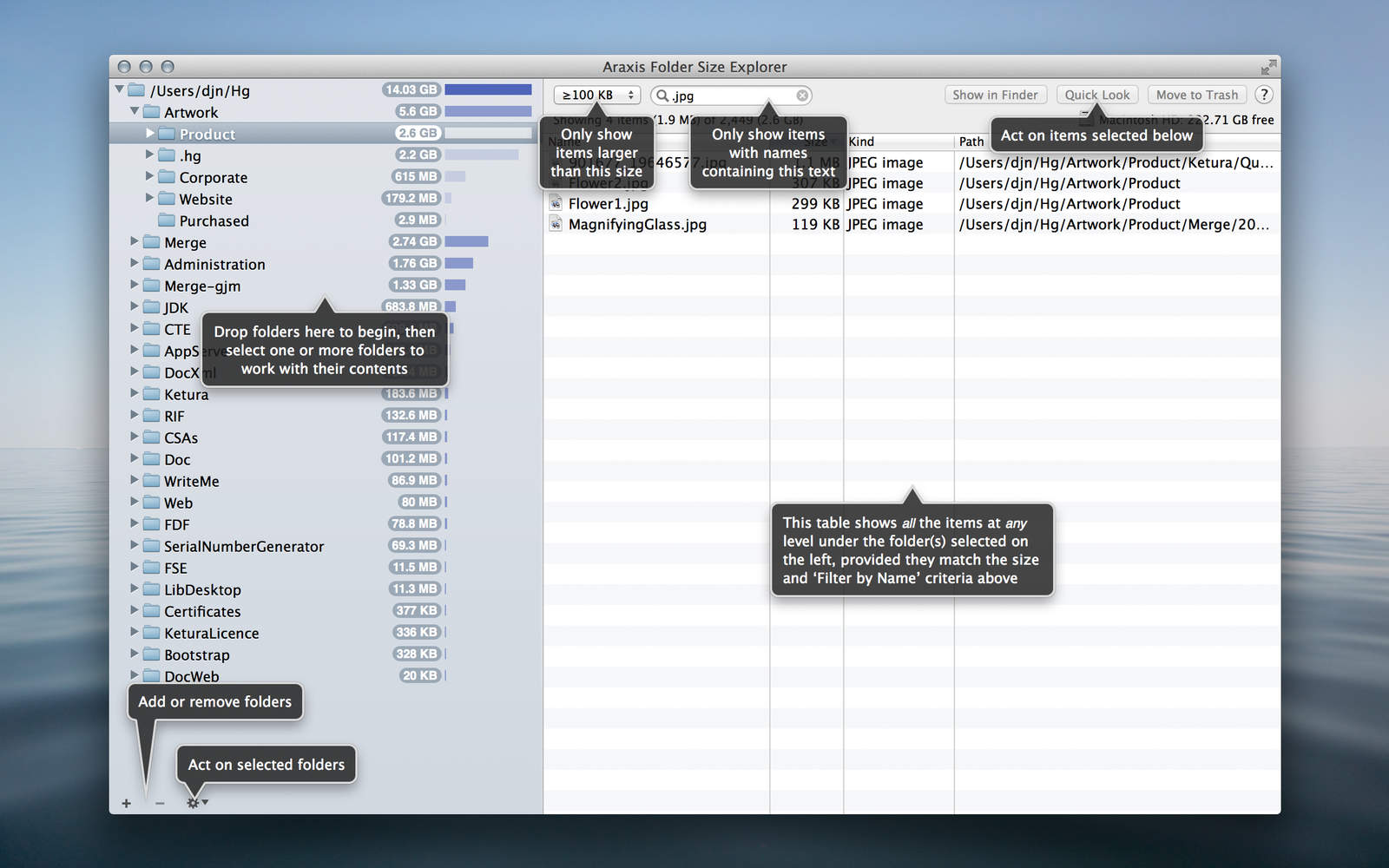 Araxis Folder Size Explorer 2013.1 : Main Window