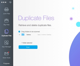 Duplicate Files Window