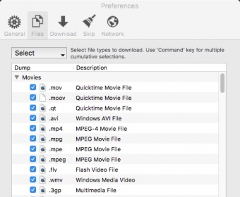 Selecting File Formats For Download