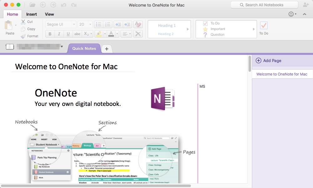 Microsoft Office 2016 : OneNote Main Window