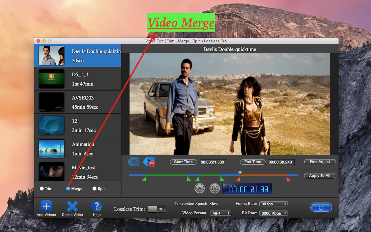 Video Edit Lossless Pro 3.2 : Main Window