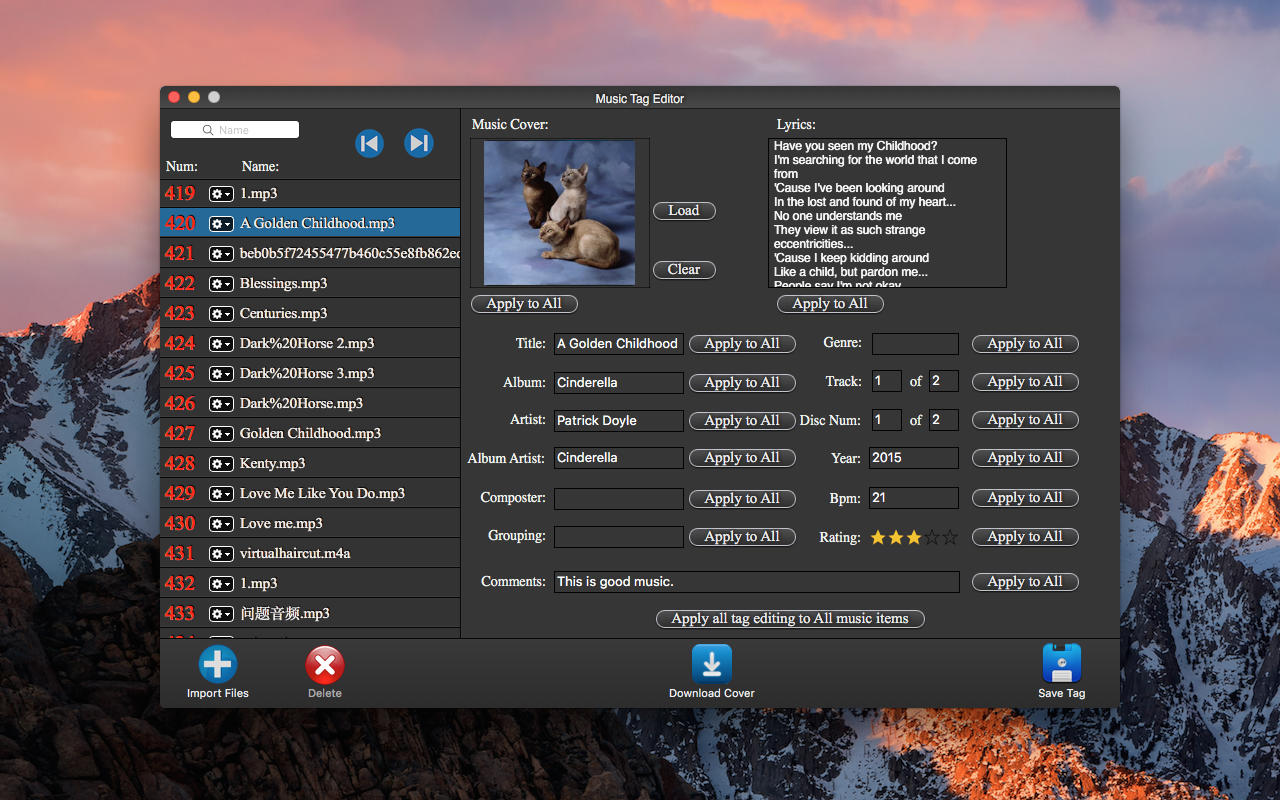 Music Tag Editor - Audio ID3 Tool 3.2 : Main Window