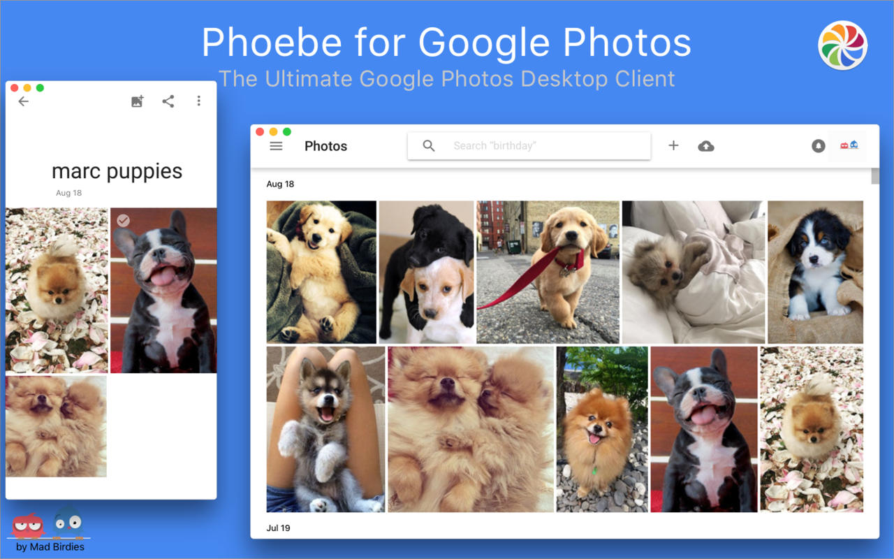 Phoebe for Google Photos 1.1 : Main Window