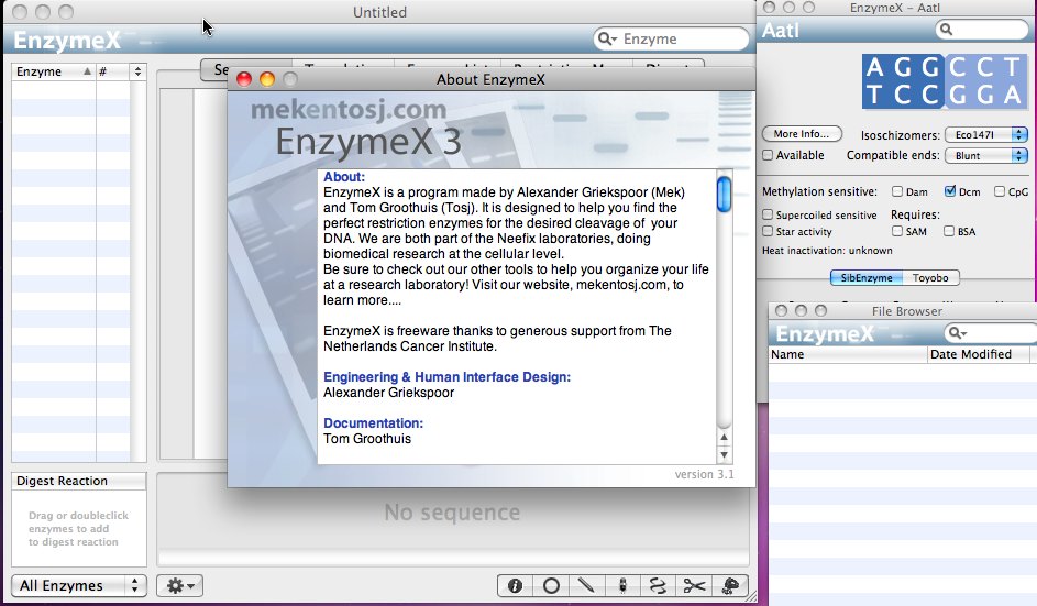 Enzyme X 3.1 : Main window