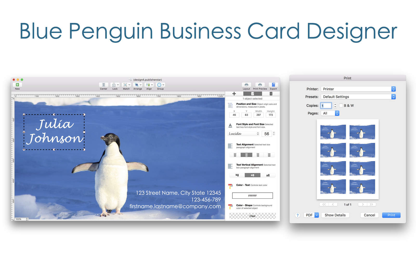 Blue Penguin Business Card Designer 3 For Mac Download