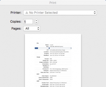 Printing File Info