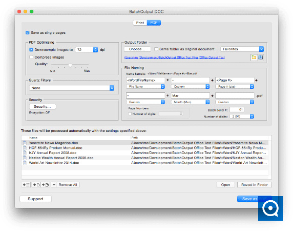 BatchOutput DOC : BatchOutput for Microsoft Word: PDF export options (screenshot)
